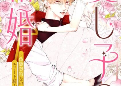愛し子の結婚～偽装契約なのにエリート騎士様が甘すぎる～