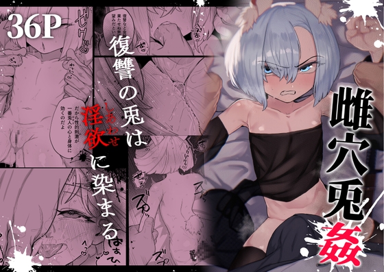 雌穴兎姦